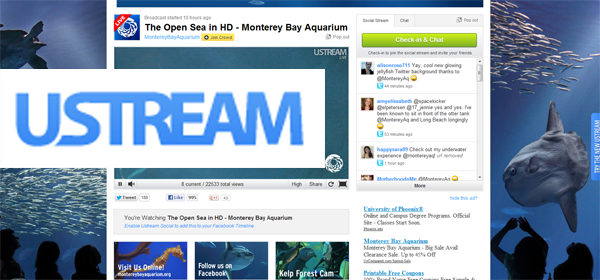 Stream into Facebook your Live Webinar free App