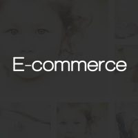 Ecommerce Test Drive our Themes in Wordpress