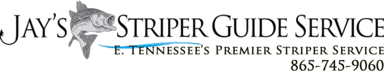 Jay Fishing Striper Service